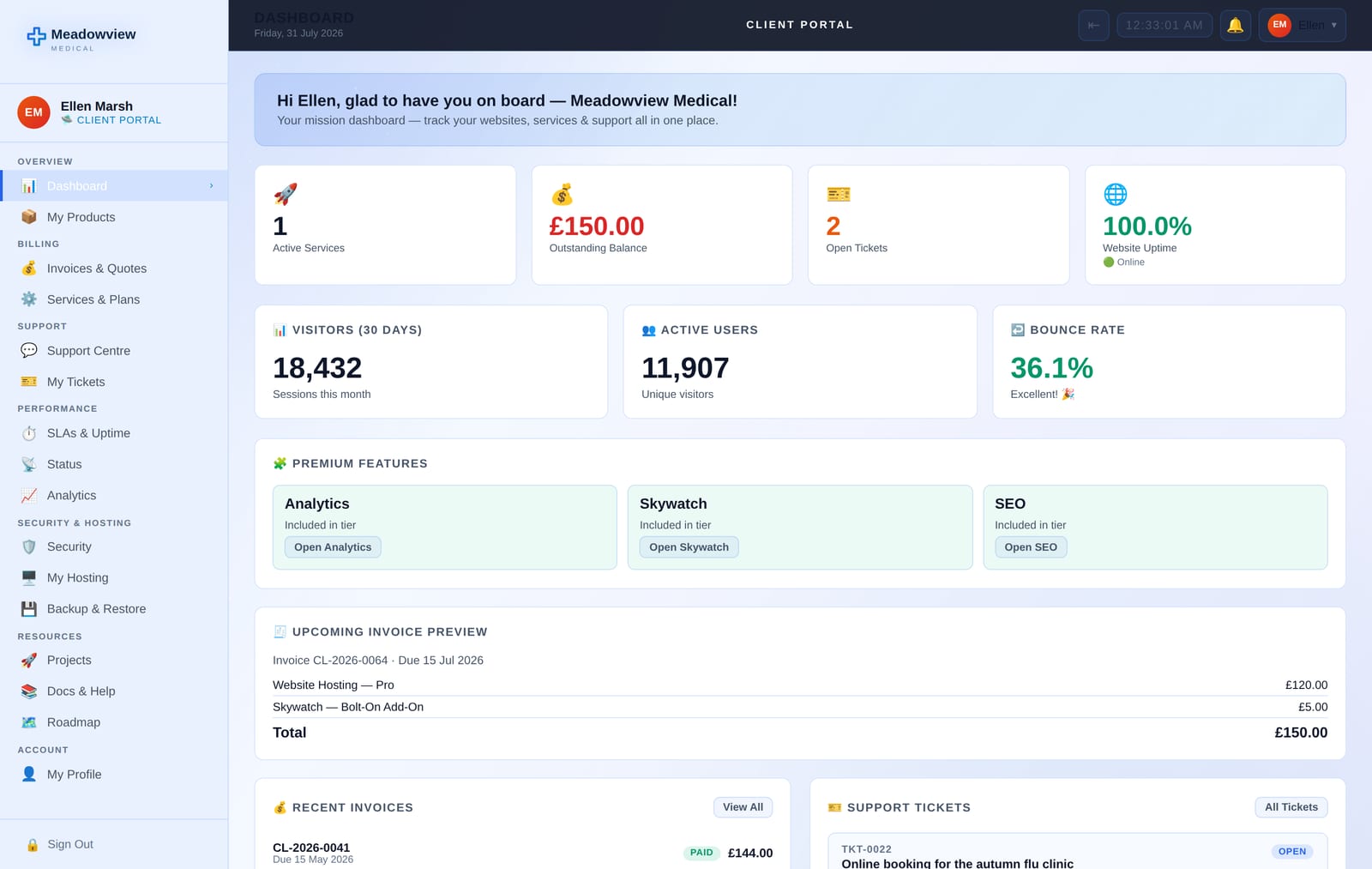 The Custom Launch client portal branded for Meadowview Medical, a healthcare business