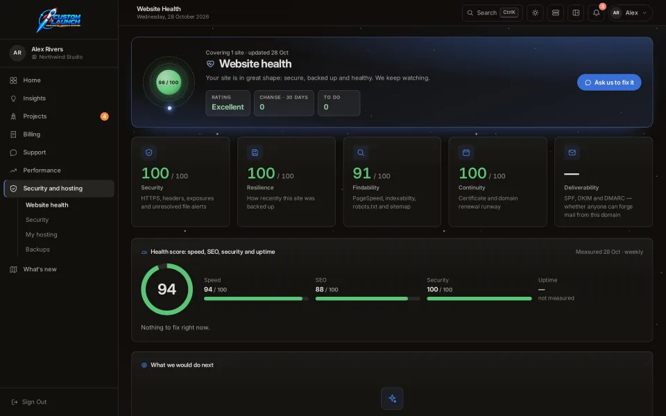 Website Health in the client portal: overall score 94
